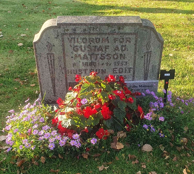 Hautatunnus: 1 Z    73