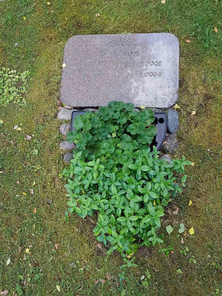 Grave number: 01 14648