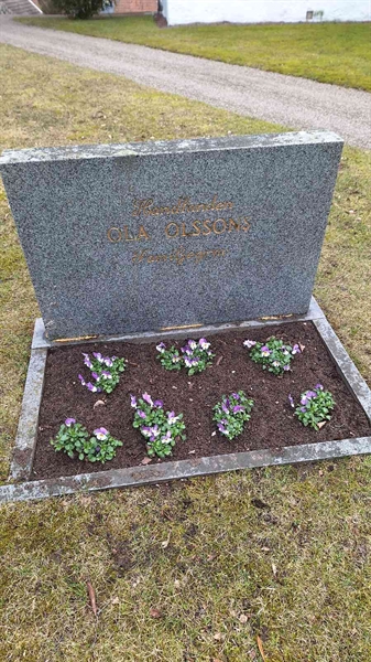 Hautatunnus: VG A   133-134