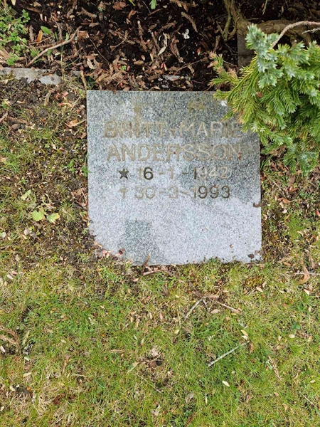 Grave number: 01 D   34