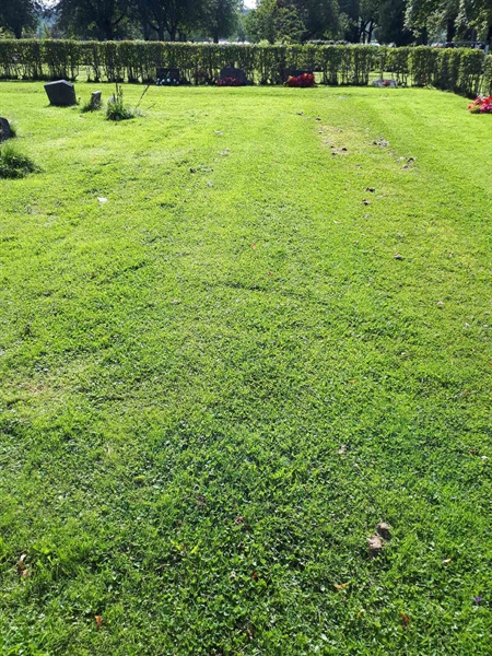 Gravnummer: NK A A   116