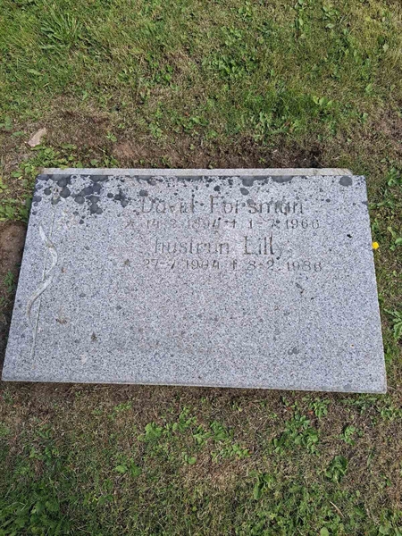 Grave number: 001 2   802