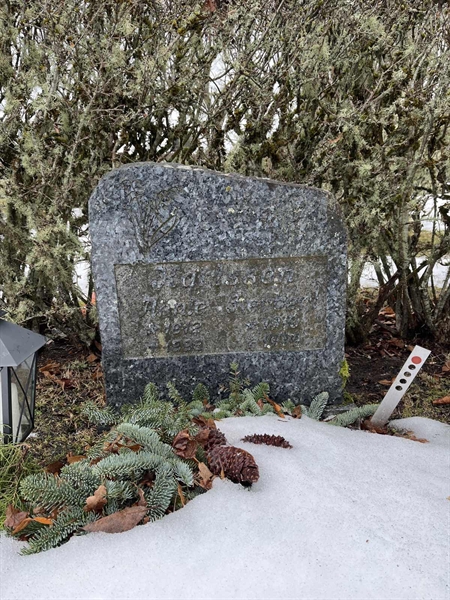 Gravnummer: SJ L    77