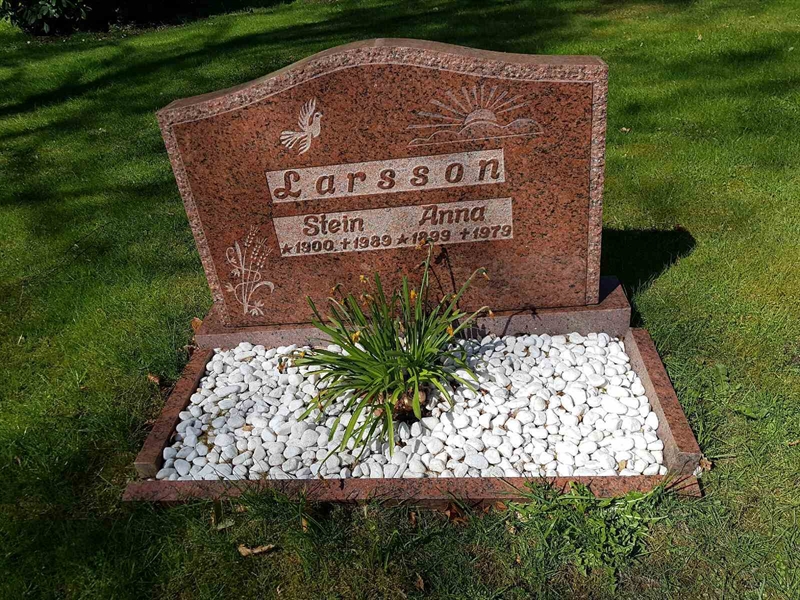 Grave number: 01  3655