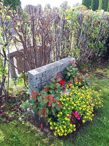 Hautatunnus: NK F B   198B