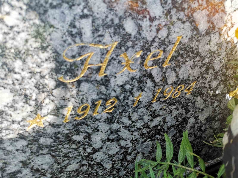 Gravnummer: POK 03    55