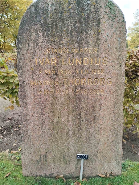 Grave number: Ö 30y     1a, 1b