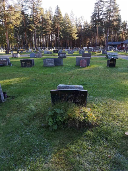 Hautatunnus: VLM 11    41:1-2