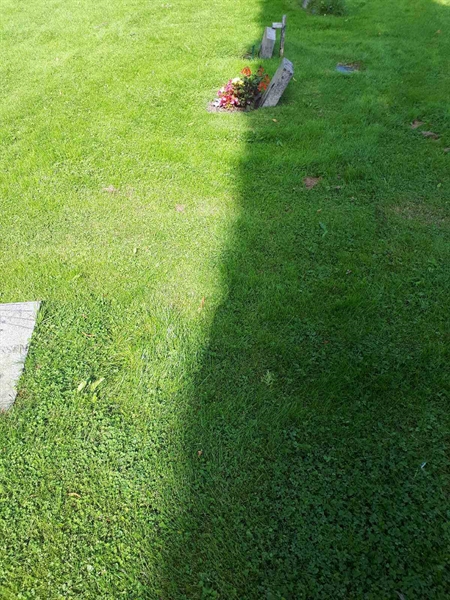 Gravnummer: NK A A   286