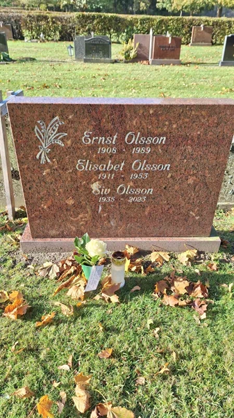 Hautatunnus: ON F    65-66