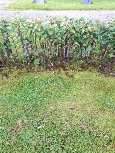 Grave number: NK F A   222