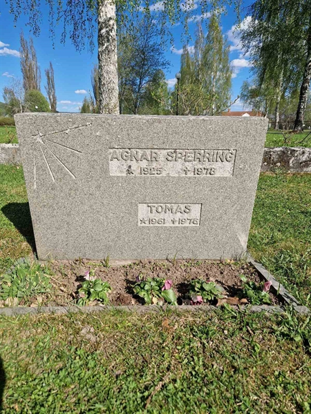 Grave number: 1 15    94, 95, 96