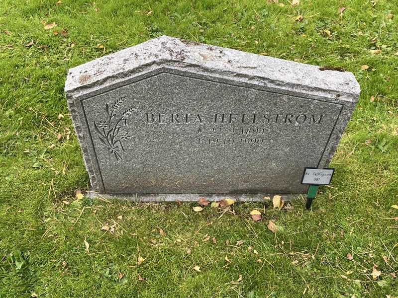 Gravnummer: 2 C   681