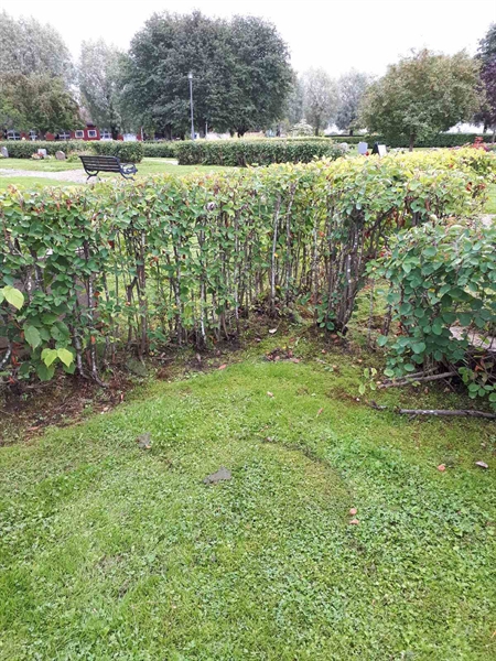 Gravnummer: NK F A   188