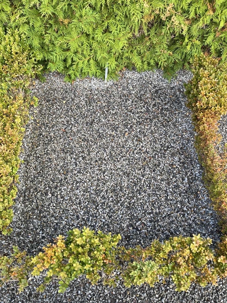 Grave number: NK Urn i    10