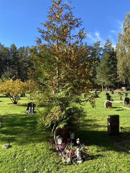 Grave number: 2 H    24