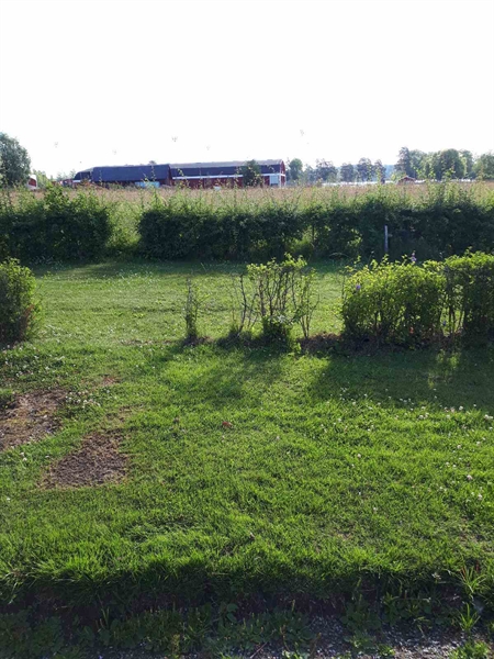 Grave number: GK F 5   459