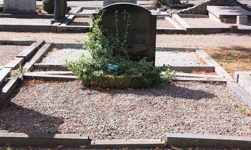 Grave number: Ö 19i    53, 54