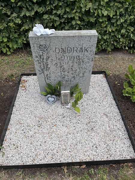 Grave number: NK XX:u   331