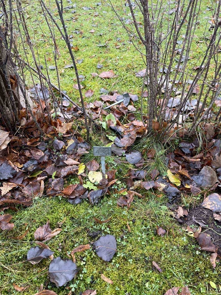 Gravnummer: GK A 3   439