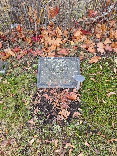 Grave number: 1 20  290