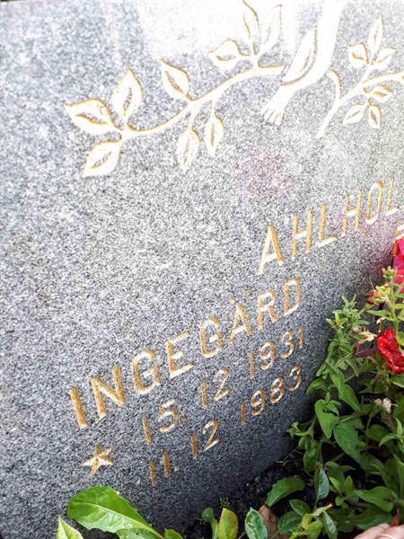 Gravnummer: NK F C     5-6