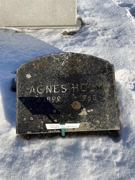 Gravnummer: SJ H    42