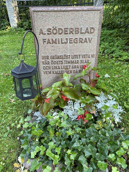 Gravnummer: 1 H   446