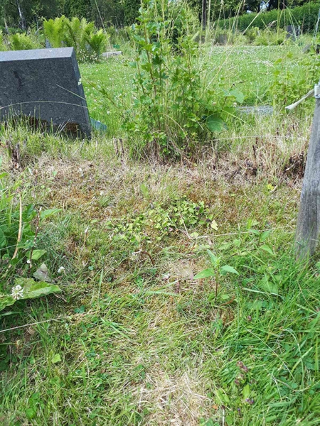 Hautatunnus: GK A 5   288M