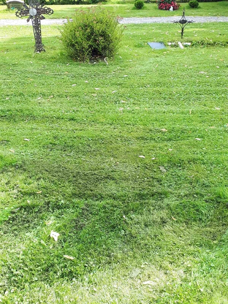 Gravnummer: GK A 4   251V