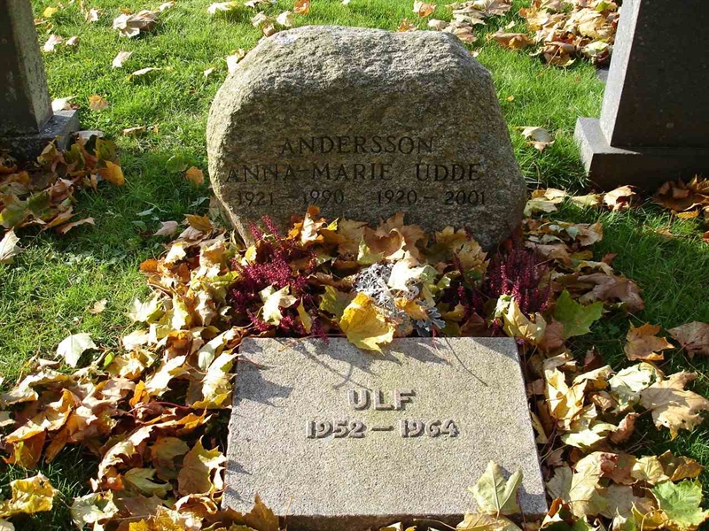 Grave number: FN L    17