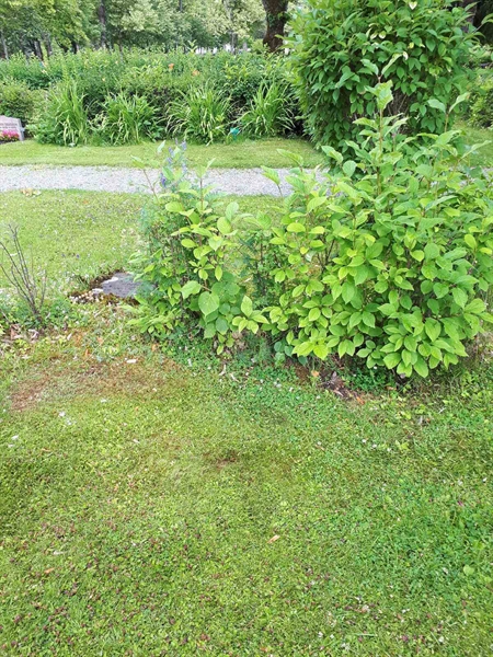 Hautatunnus: GK F 5   431