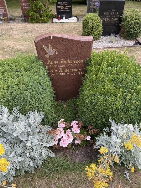 Grave number: NK XX:u   384
