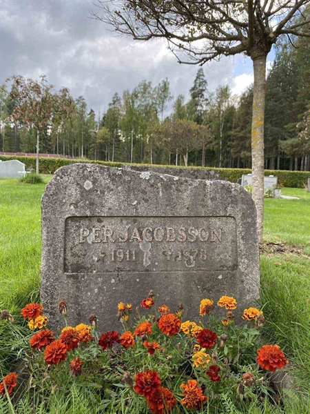 Hautatunnus: 1 19    145, 146