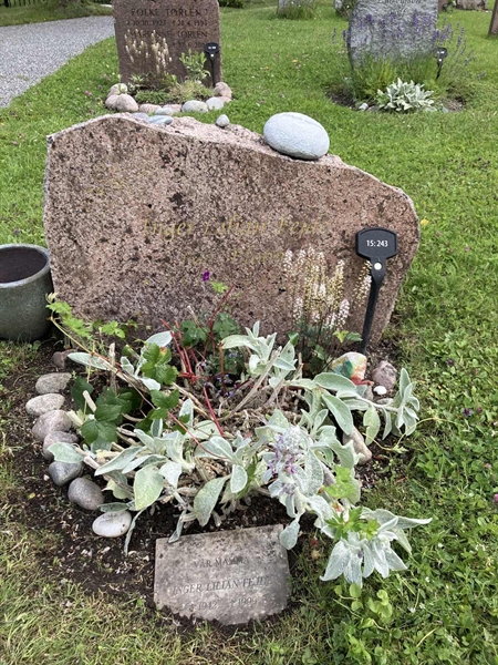 Grave number: 1 15   243