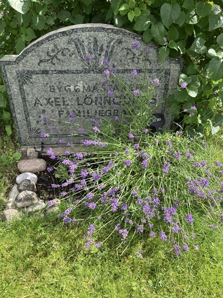 Grave number: 1 15   201