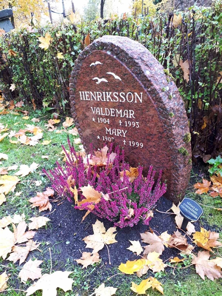 Hautatunnus: GK F 1   226