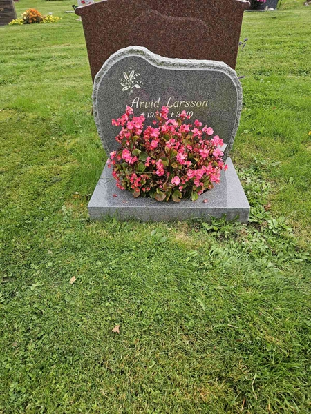 Hautatunnus: Fr 8   138-139