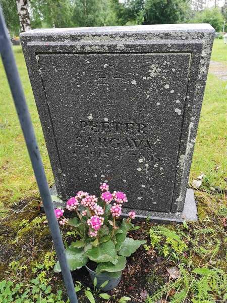 Hautatunnus: NK 12    62