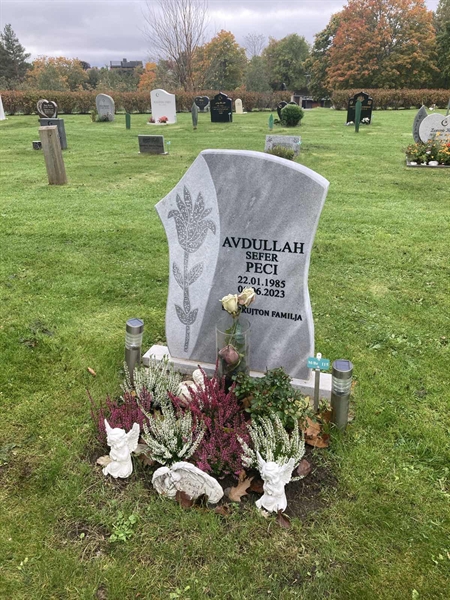 Hautatunnus: 1 3 M/Be   115