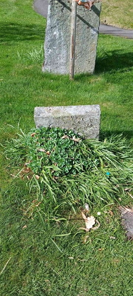Grave number: 3 Nya K    30