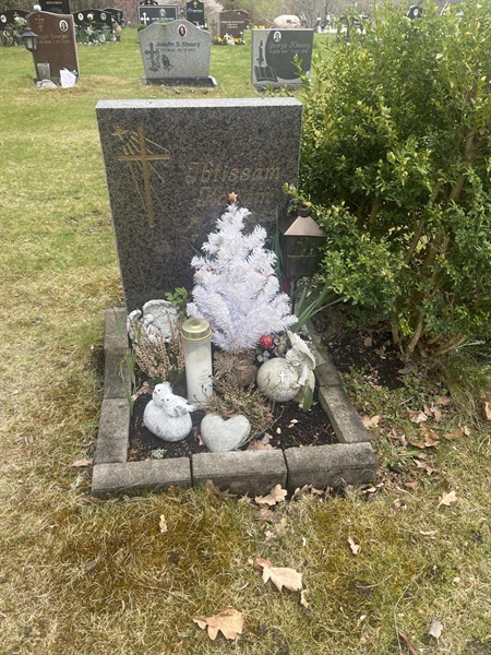 Grave number: 1 3 M/O 2