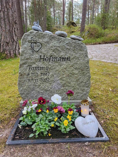 Gravnummer: H HA    98