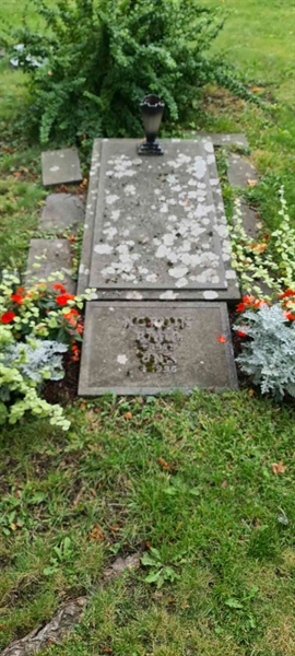 Grave number: M V  249