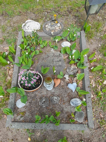 Grave number: 20 R 31