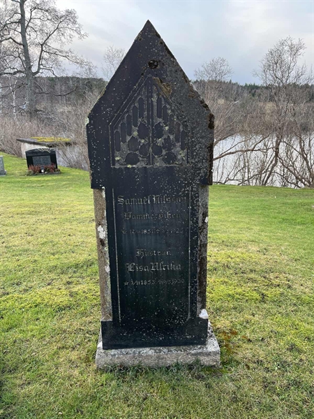 Hautatunnus: Vårv Kv1 58