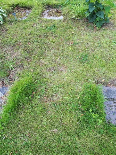 Grave number: NK A A   238