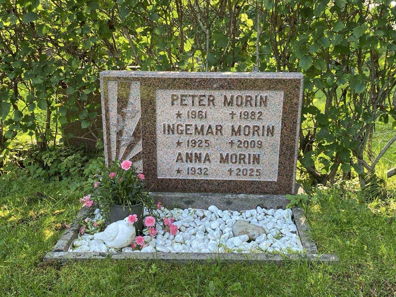 Grave number: 3 13   353