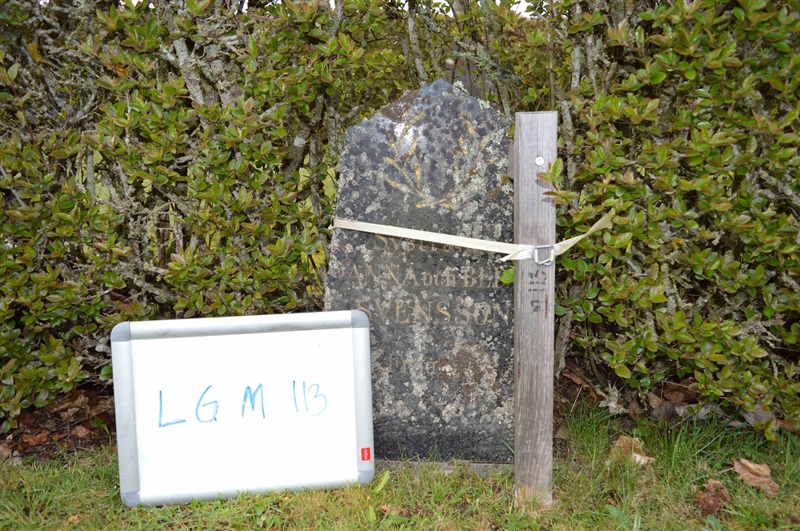 Grave number: LG M   113