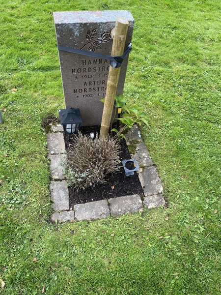 Hautatunnus: 2 C   650-651